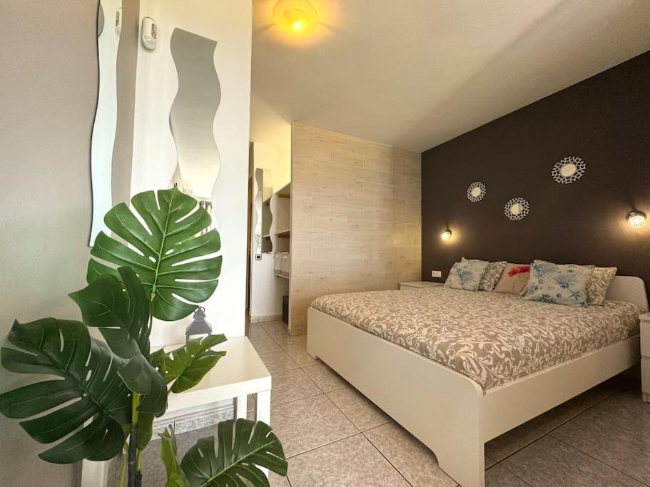 Palm Garden Apartment Morro Jable Exterior foto